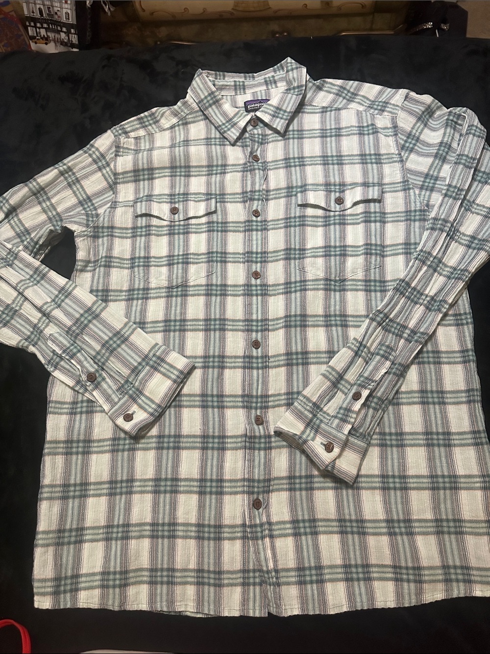 Patagonia Men's White Plaid Button-Down Shirt with Green Stripes